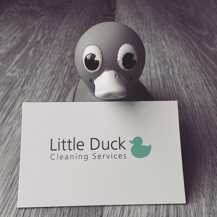 Little Duck Cleaning Services logo